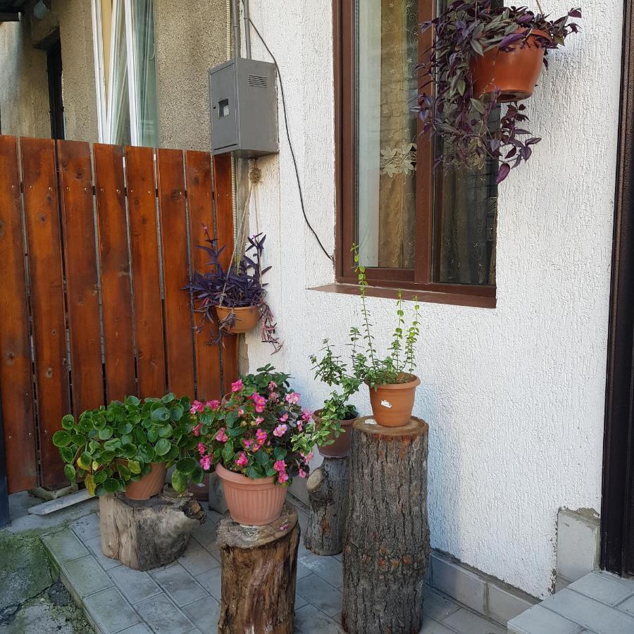 Guesthouse Gia Tbilisi Eksteriør bilde