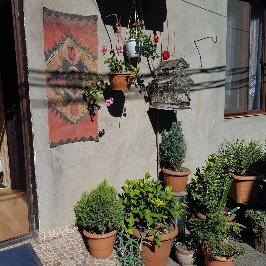 Guesthouse Gia Tbilisi Eksteriør bilde