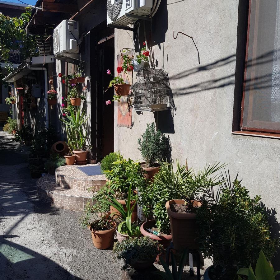 Guesthouse Gia Tbilisi Eksteriør bilde