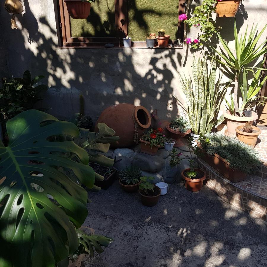 Guesthouse Gia Tbilisi Eksteriør bilde